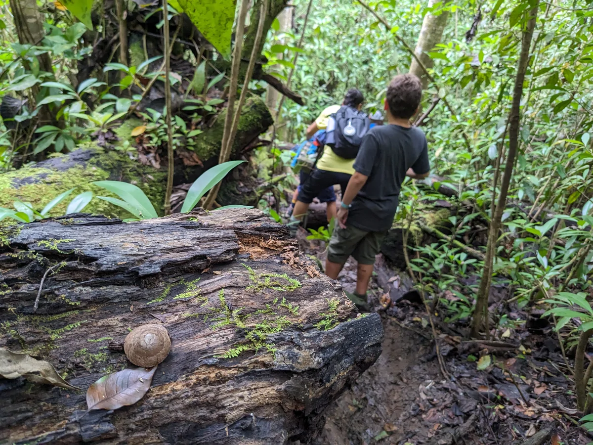 Hiking the tropical forests of Guajataka