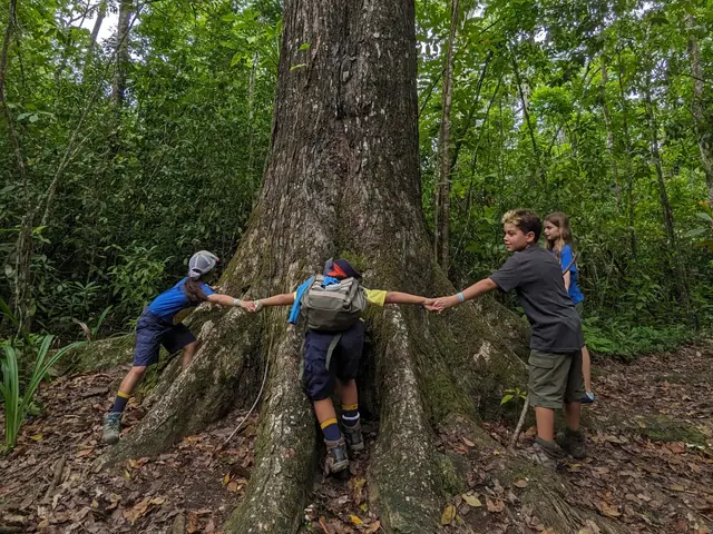 Hiking the tropical forests of Guajataka
