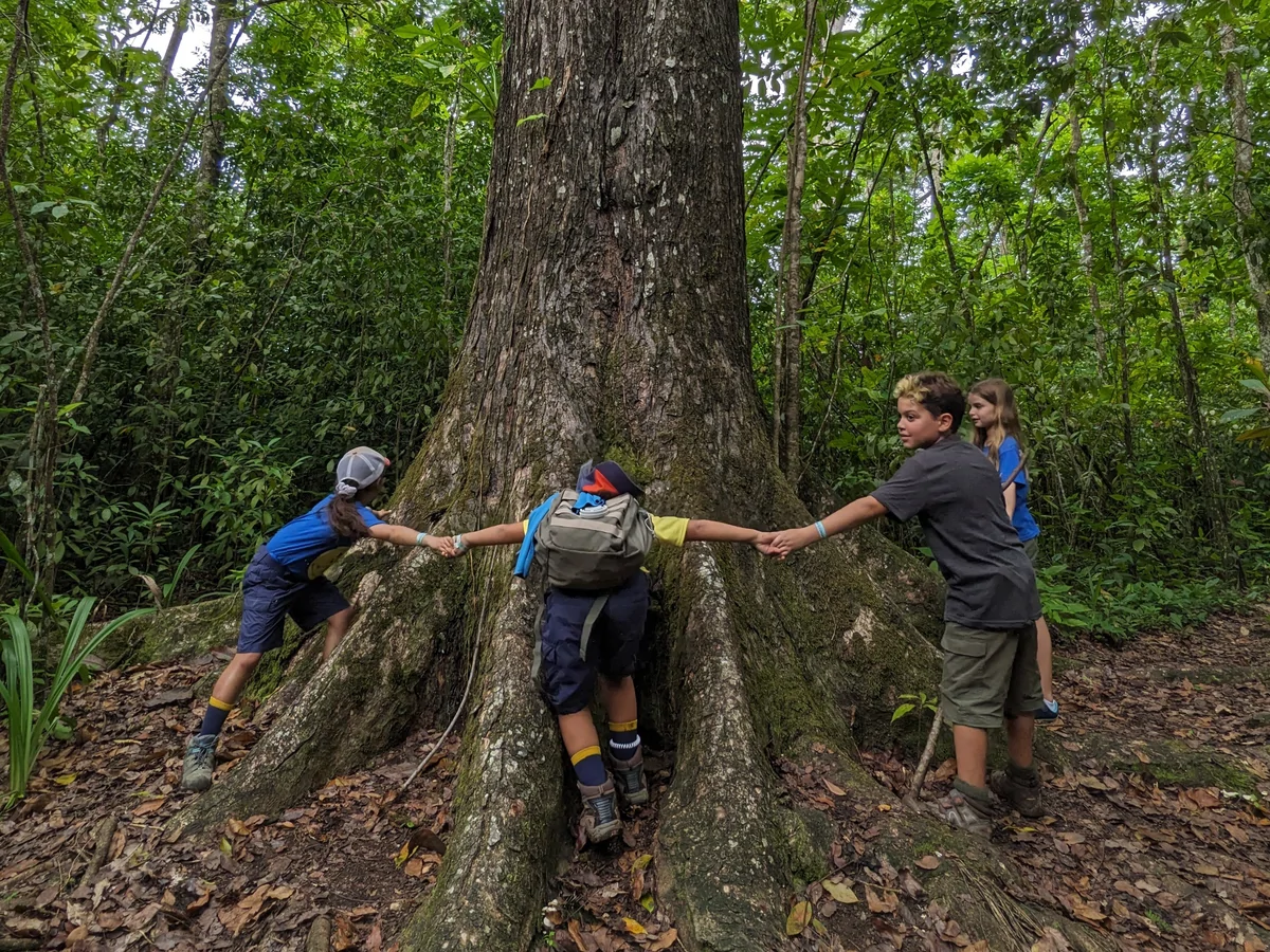 Hiking the tropical forests of Guajataka