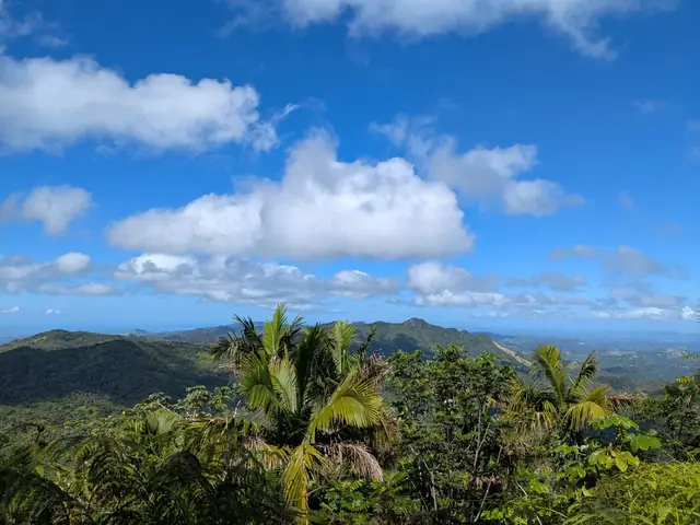 View from the summit of Monte Guilarte