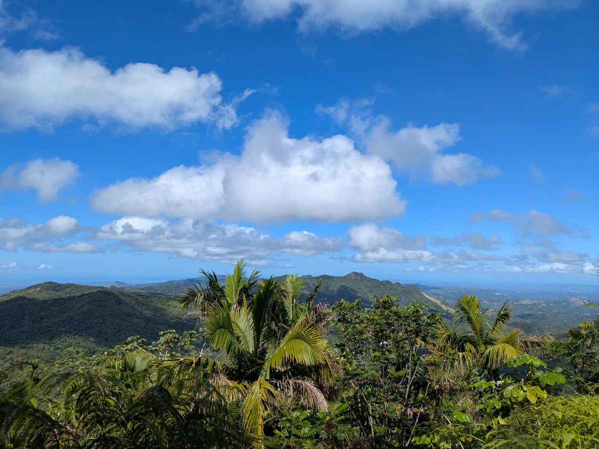 View from the summit of Monte Guilarte
