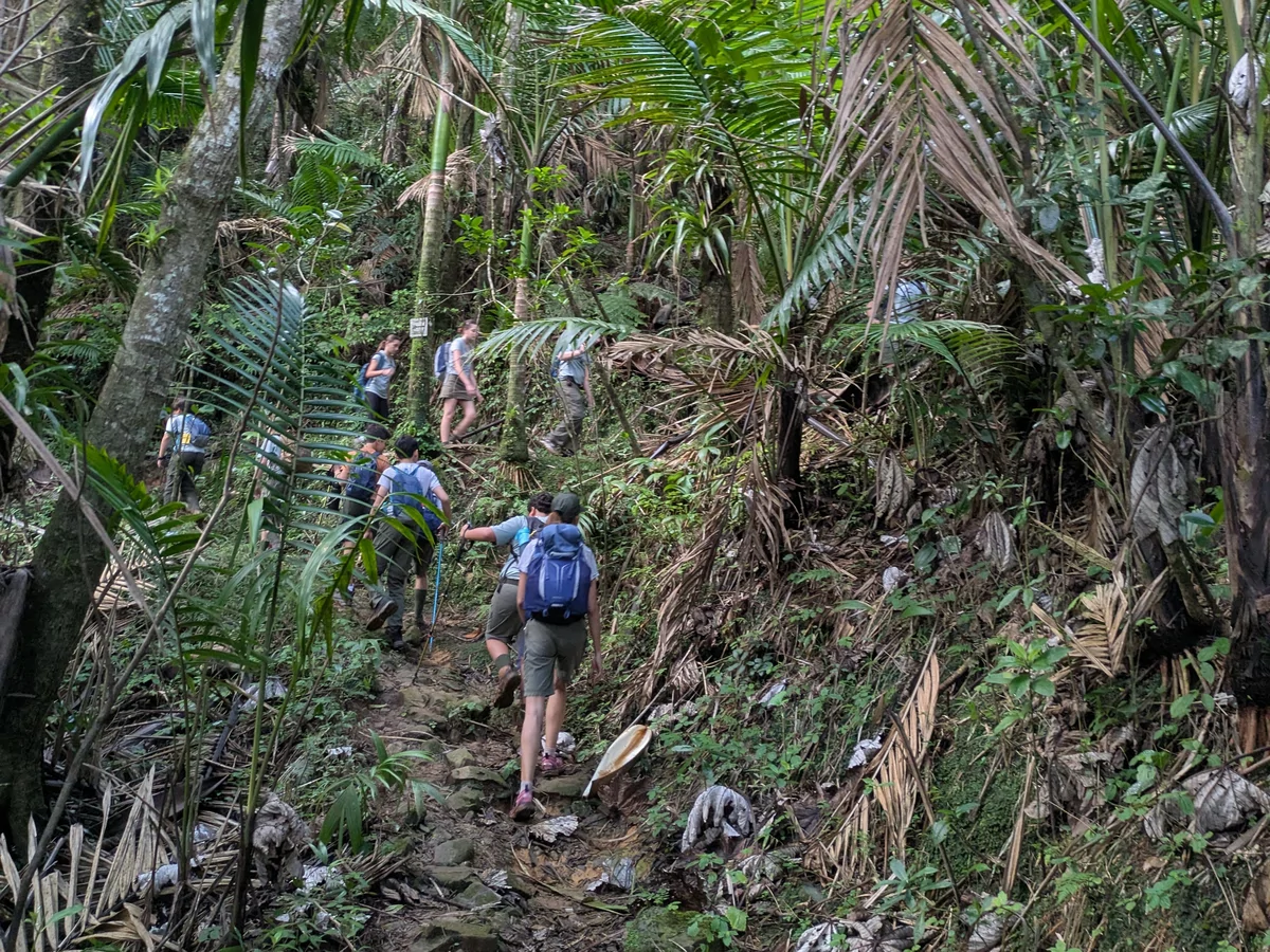 A group of Scouts summit Monte Guilarte