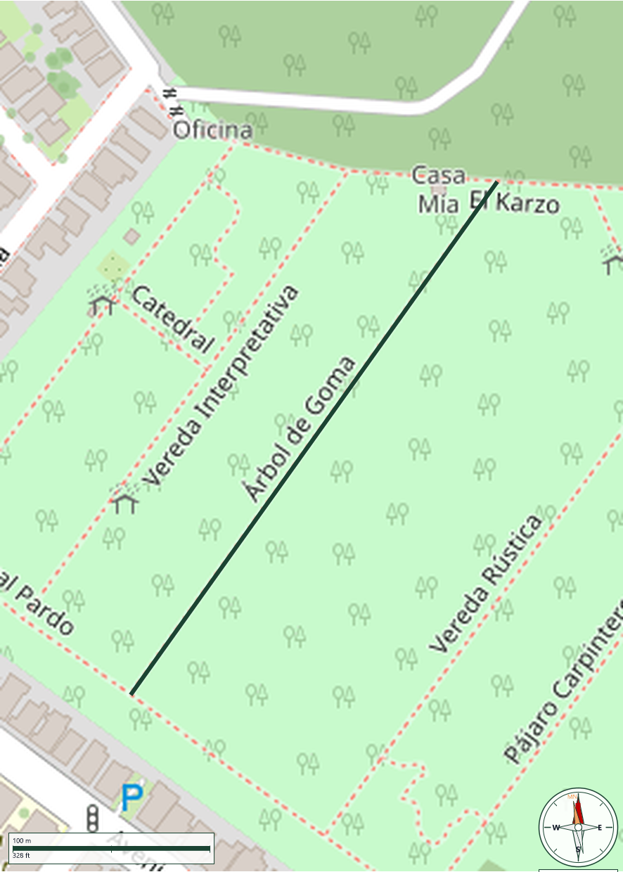 Mapa de Árbol de Goma