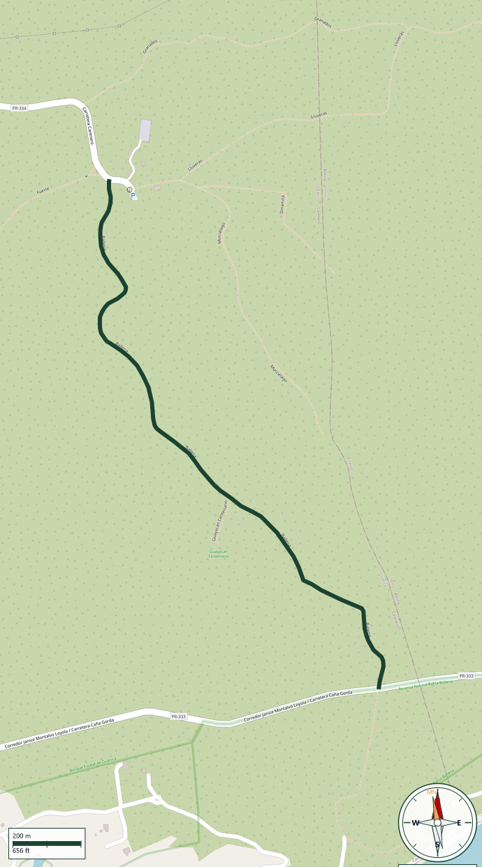 Mapa de Ballena