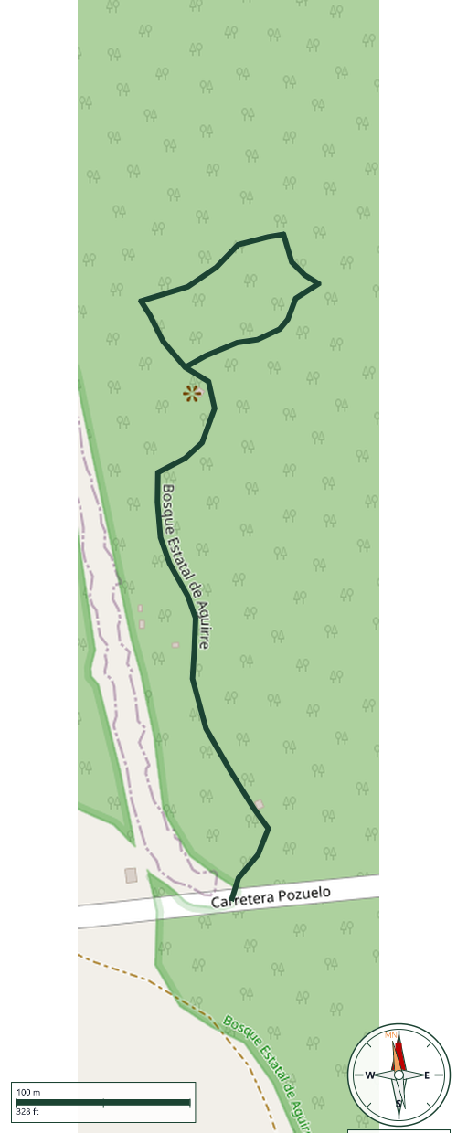 Mapa de Bosque Estatal de Aguirre