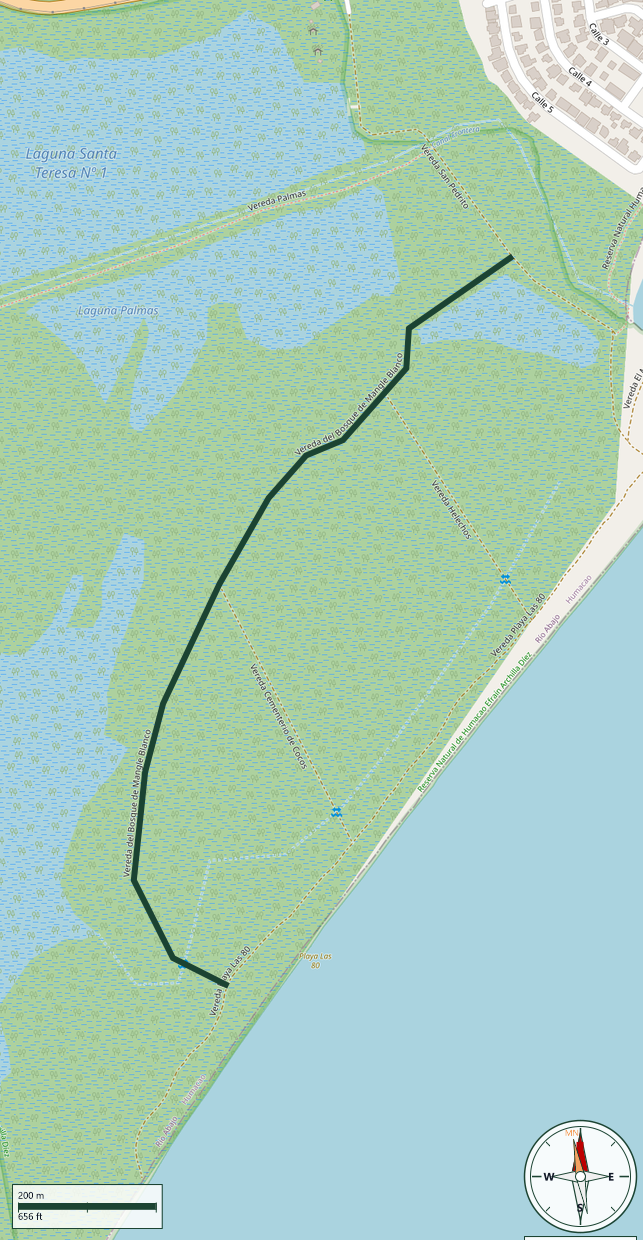 Mapa de Vereda del Bosque de Mangle Blanco